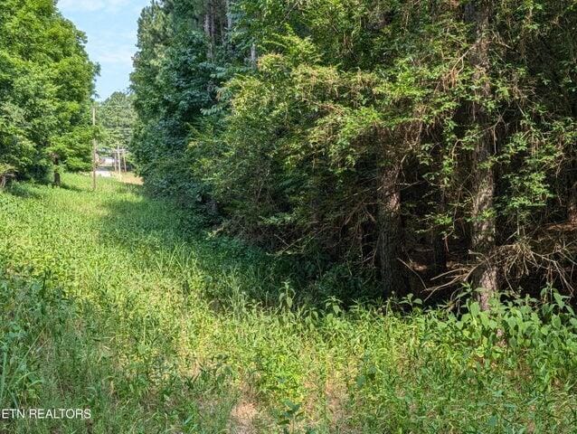 000 Juniper Ct, Spring City, TN 37381