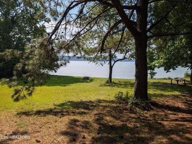 000 Juniper Ct, Spring City, TN 37381