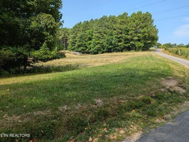 000 Juniper Ct, Spring City, TN 37381