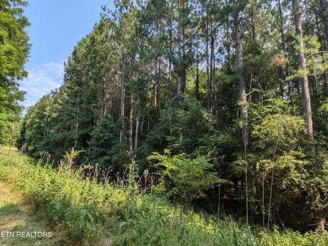 000 Juniper Ct, Spring City, TN 37381