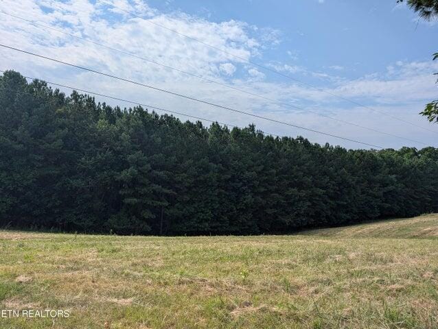000 Juniper Ct, Spring City, TN 37381