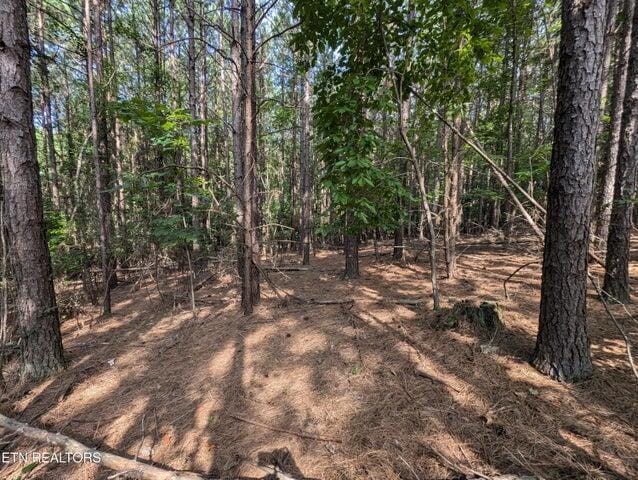 000 Juniper Ct, Spring City, TN 37381