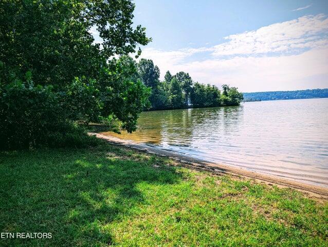 000 Juniper Ct, Spring City, TN 37381
