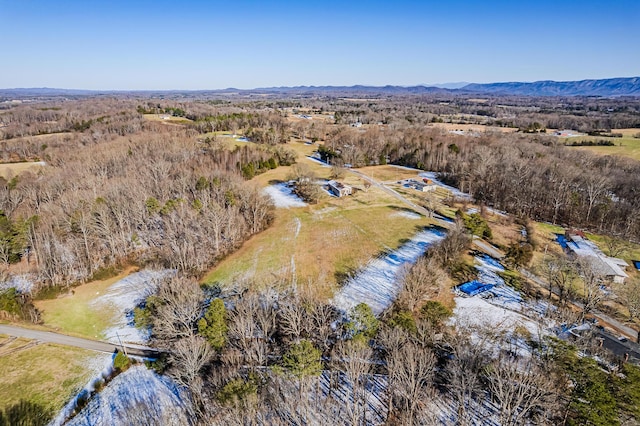 drone / aerial view featuring a mountain view