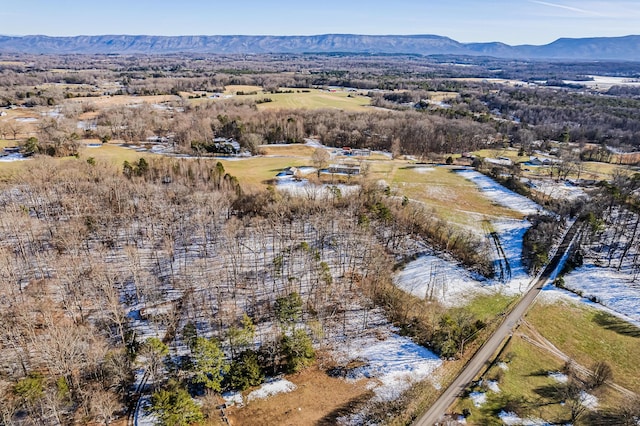 drone / aerial view featuring a mountain view