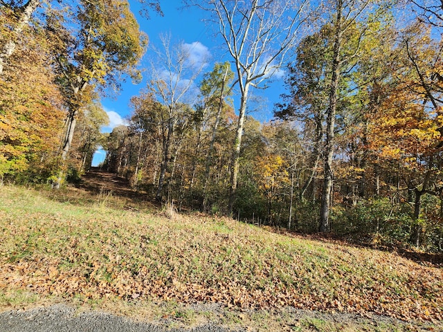 Listing photo 3 for 41.9ACRES County Road 712th Rd, Athens TN 37303