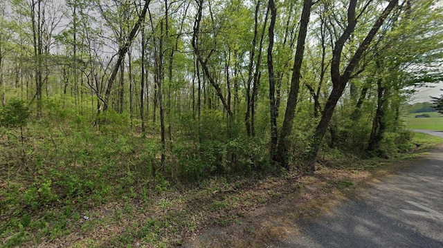 Listing photo 2 for 41.9ACRES County Road 712th Rd, Athens TN 37303