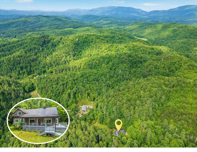 aerial view with a mountain view