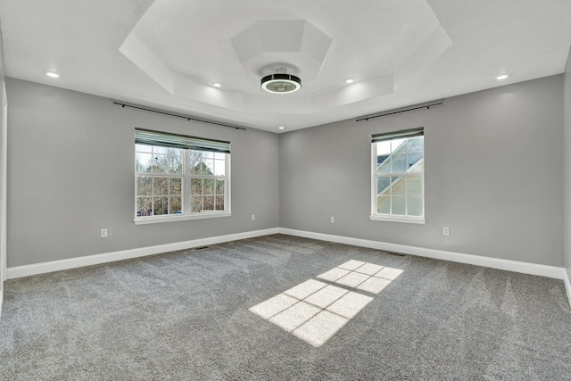 unfurnished room featuring a raised ceiling and carpet flooring