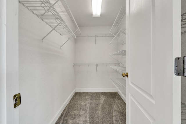 walk in closet with carpet