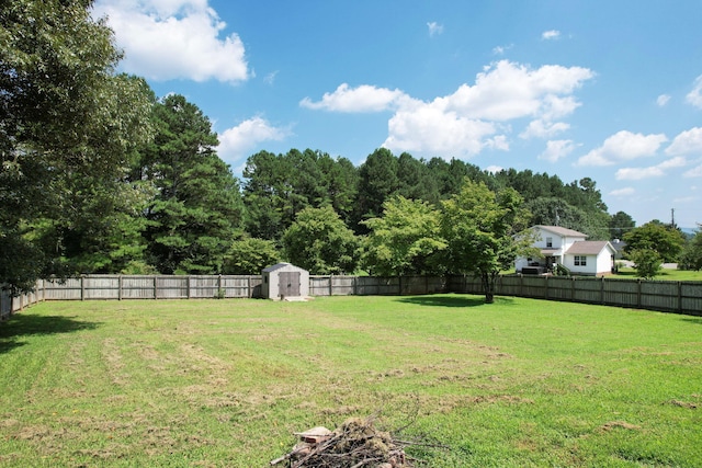 view of yard featuring a shed