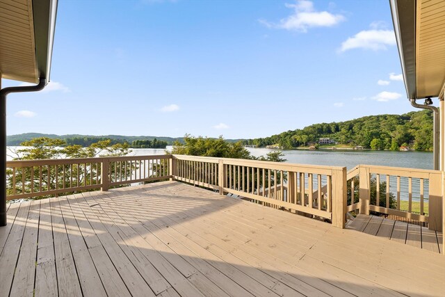 272 Russell Ave, Spring City, TN 37381 - photo 42
