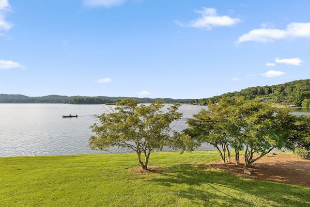272 Russell Ave, Spring City, TN 37381 - photo 46