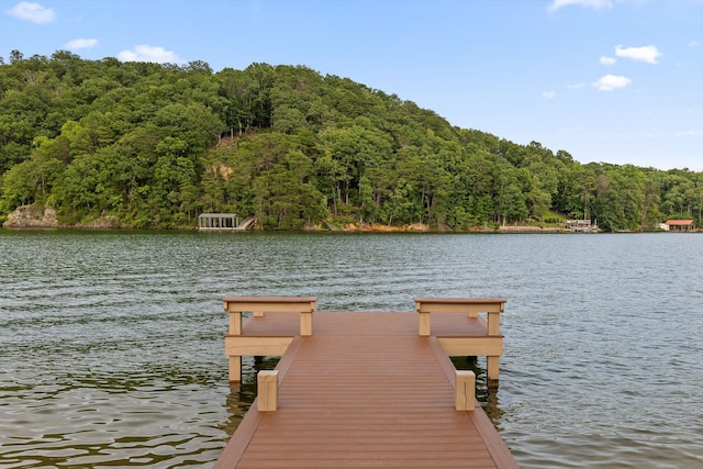 272 Russell Ave, Spring City, TN 37381 - photo 58