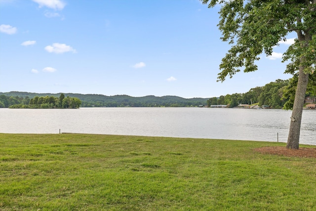 272 Russell Ave, Spring City, TN 37381 - photo 86