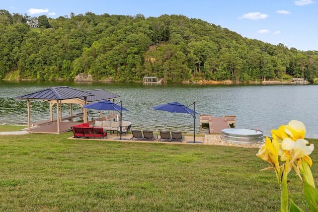 272 Russell Ave, Spring City, TN 37381 - photo 54