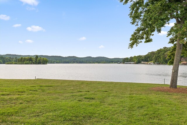272 Russell Ave, Spring City, TN 37381 - photo 63