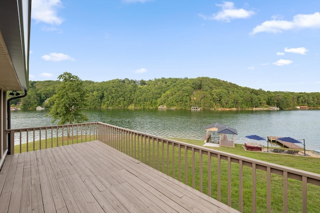 272 Russell Ave, Spring City, TN 37381 - photo 45