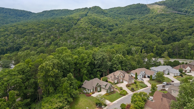 drone / aerial view featuring a mountain view