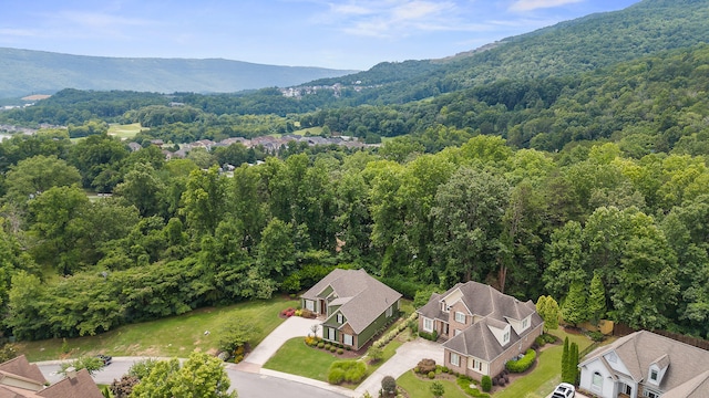 birds eye view of property featuring a mountain view