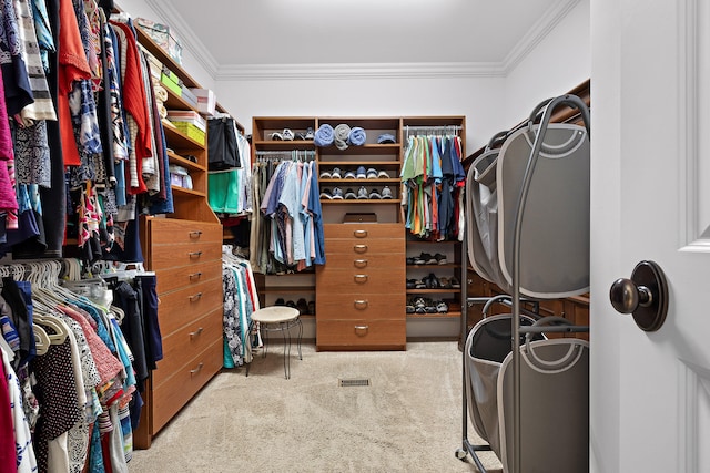 walk in closet with carpet flooring