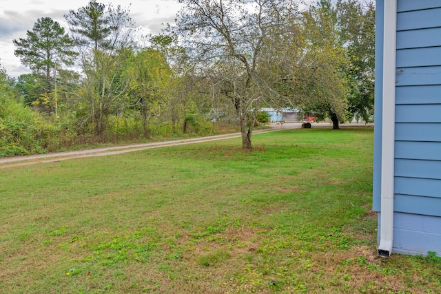 view of yard