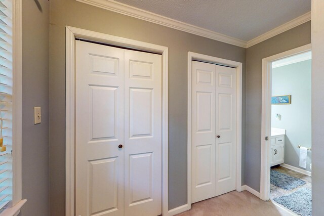 143 Rolling Woods Trl NE, Cleveland, TN 37312 - photo 42
