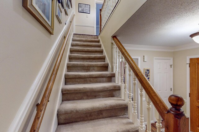 143 Rolling Woods Trl NE, Cleveland, TN 37312 - photo 37