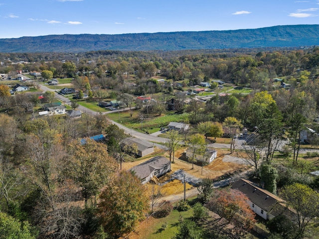 bird's eye view with a mountain view