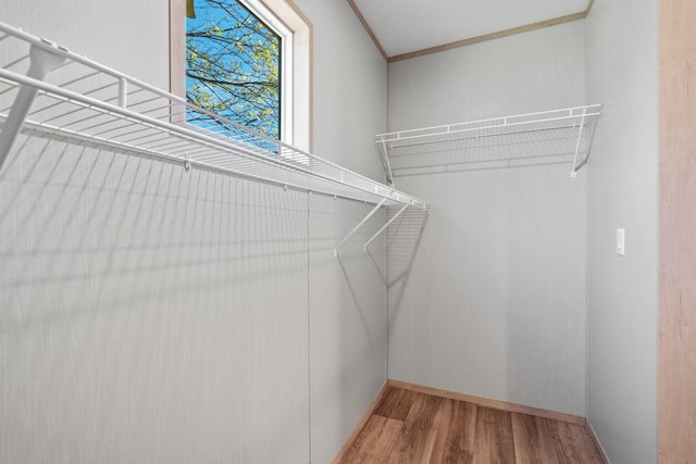 spacious closet with wood-type flooring