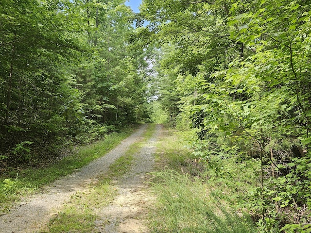 156 Gage Ln, Ocoee TN, 37361 land for sale