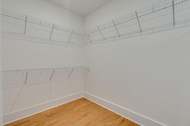 walk in closet with wood-type flooring