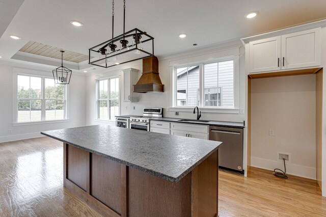 kitchen with white cabinets, appliances with stainless steel finishes, premium range hood, and a raised ceiling