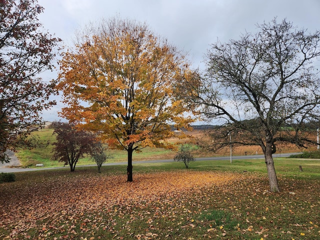 view of property's community