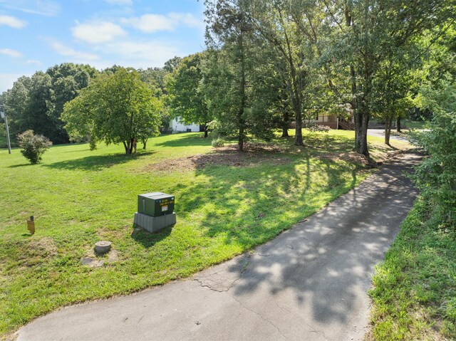 view of community with a yard