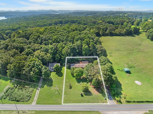 drone / aerial view featuring a mountain view