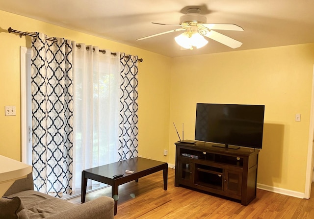 living room with a wealth of natural light, ceiling fan, and light hardwood / wood-style floors