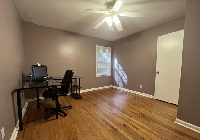 office area featuring ceiling fan and wood-type flooring