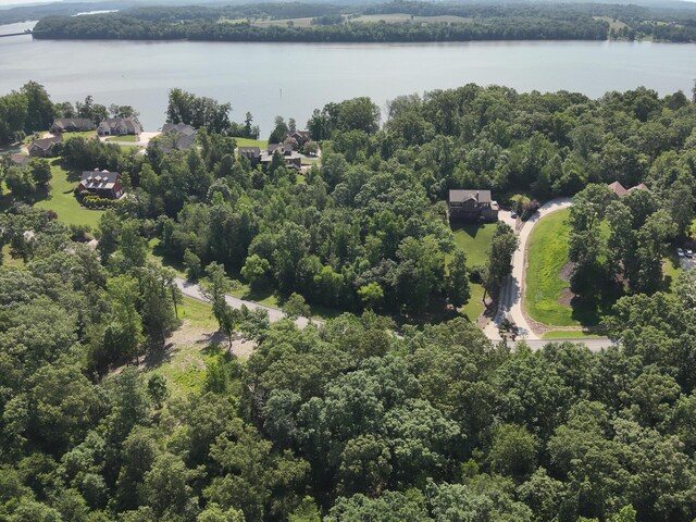 15732 Channel Point Dr, Sale Creek, TN 37373 - photo 14