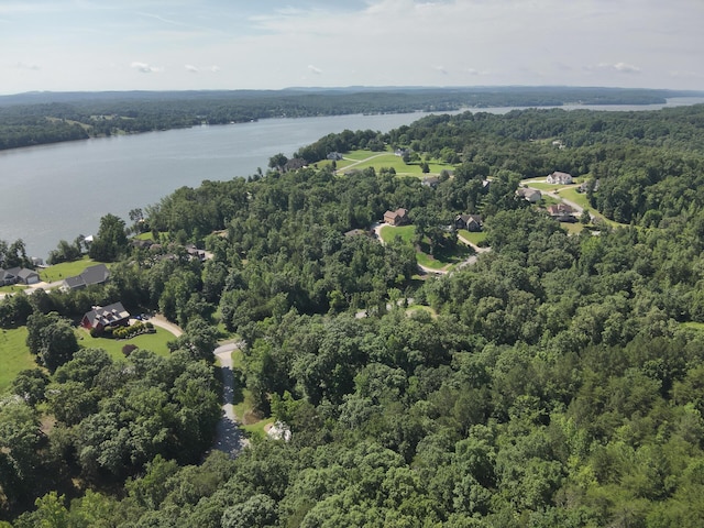 15732 Channel Point Dr, Sale Creek, TN 37373 - photo 32