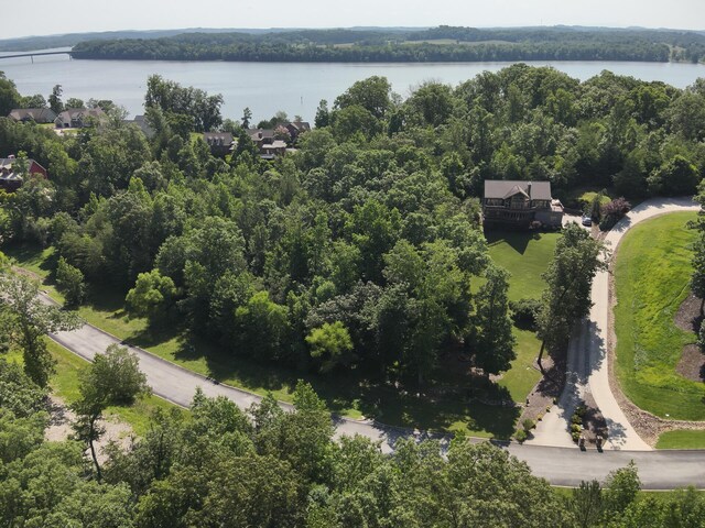 15732 Channel Point Dr, Sale Creek, TN 37373 - photo 24