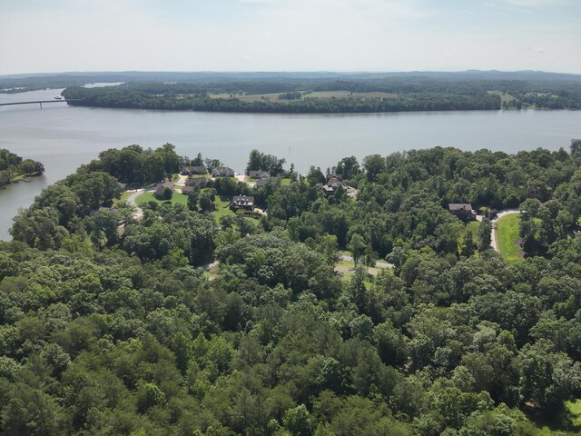 15732 Channel Point Dr, Sale Creek, TN 37373 - photo 30