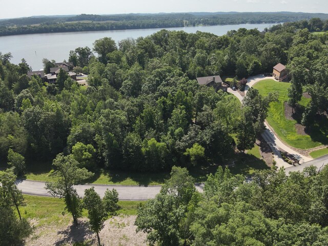 15732 Channel Point Dr, Sale Creek, TN 37373 - photo 22