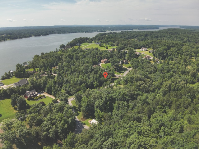 15732 Channel Point Dr, Sale Creek, TN 37373 - photo 4