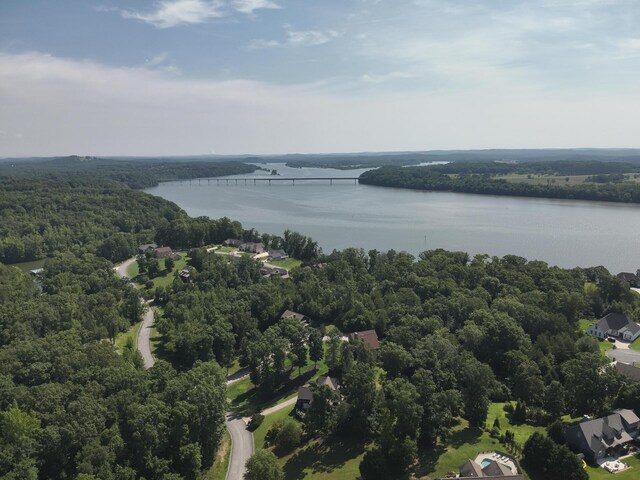 15732 Channel Point Dr, Sale Creek, TN 37373 - photo 28