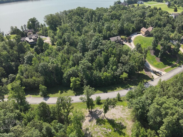 15732 Channel Point Dr, Sale Creek, TN 37373 - photo 16