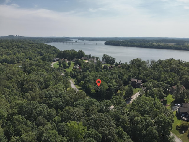 15732 Channel Point Dr, Sale Creek, TN 37373 - photo 1