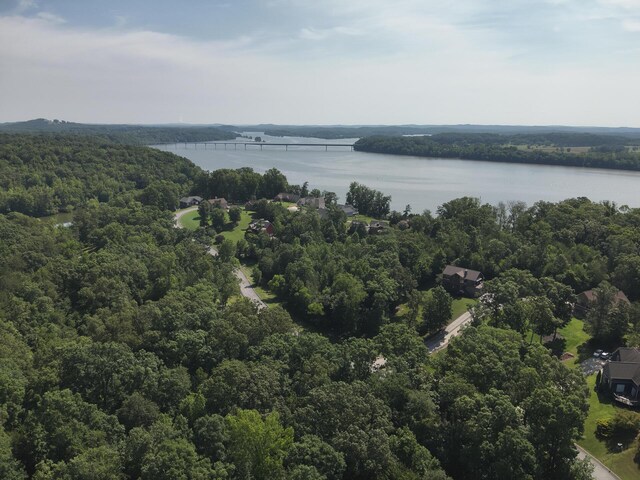 15732 Channel Point Dr, Sale Creek, TN 37373 - photo 13