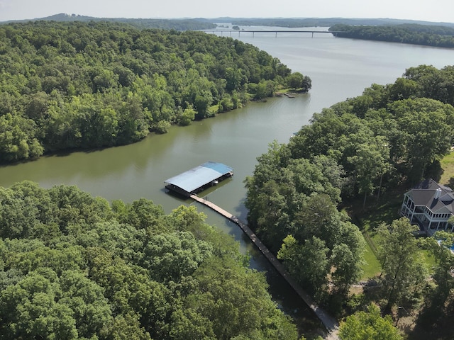 15732 Channel Point Dr, Sale Creek, TN 37373 - photo 5
