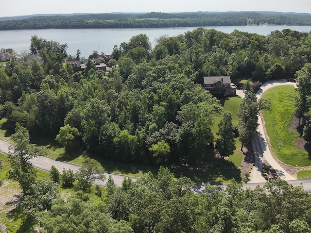 15732 Channel Point Dr, Sale Creek, TN 37373 - photo 23